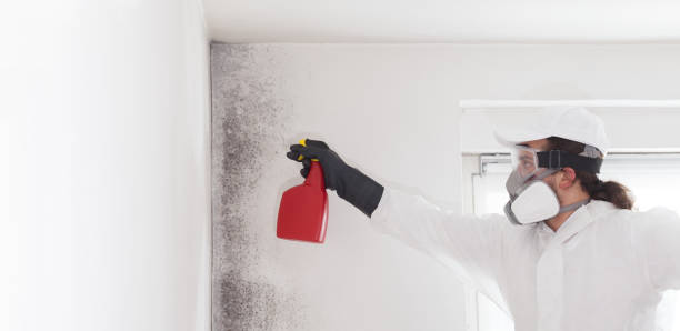 Best Crawl Space Mold Removal  in Waikele, HI