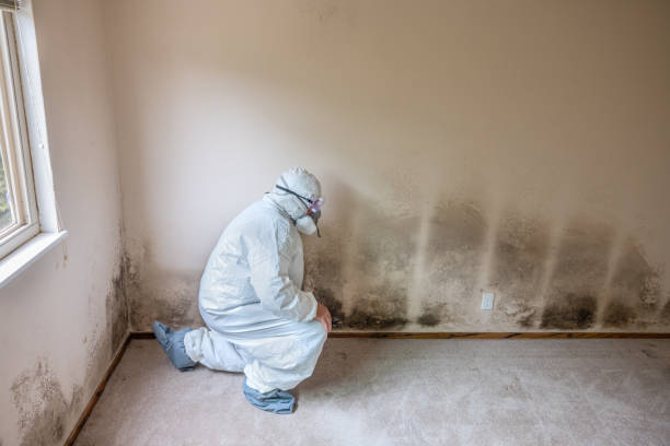 Crawl Space Mold Removal in Waikele, HI